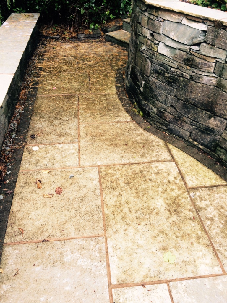 Green Indian Limestone Patio Treated for Heavy Staining in Windermere